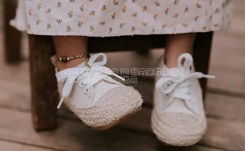 8868网站登录入口京东2024 年最热门的 34 码男童鞋子款式
，让小小脚丫时尚出众