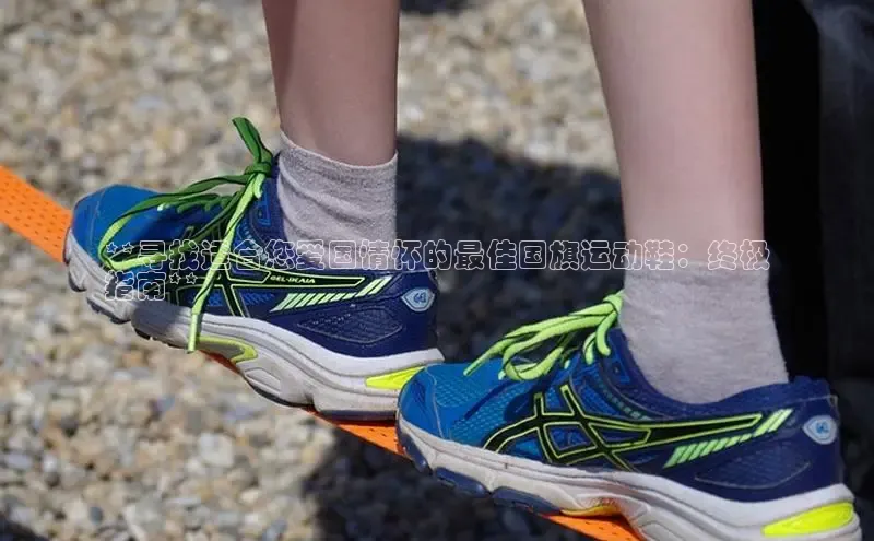 8868体育网页版登录入口百度健康**寻找适合您爱国情怀的最佳国旗运动鞋：终极
指南**