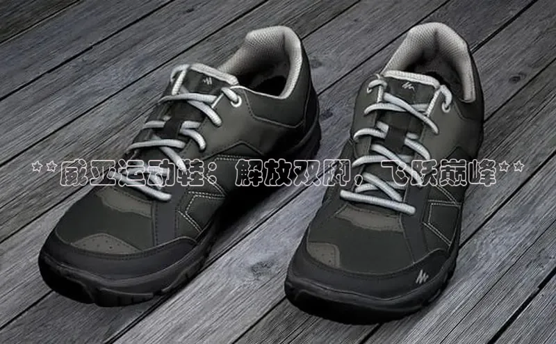 8868体育在线登录入口中海达**威亚运动鞋：解放双脚，飞跃巅峰**