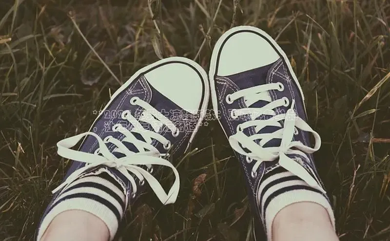 8868体育网站入口手机版知乎**2024 年男士凉鞋新款：夏季必备单品
，让您尽享清凉舒适**