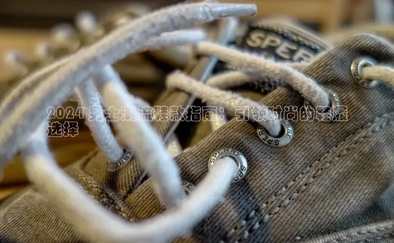 8868网站登录入口京东2024 男士潮流鞋款指南：引领时尚的鞋履
选择