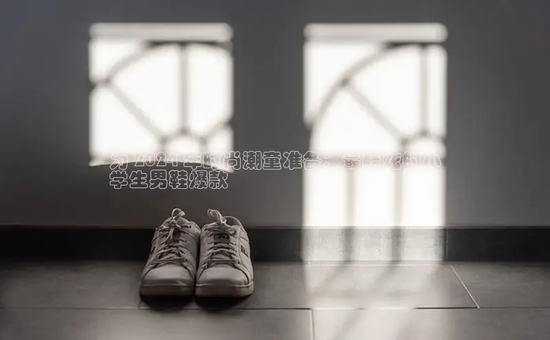 8868网页在线登录百度网盘为 2024 年时尚潮童准备：最酷炫的小
学生男鞋爆款