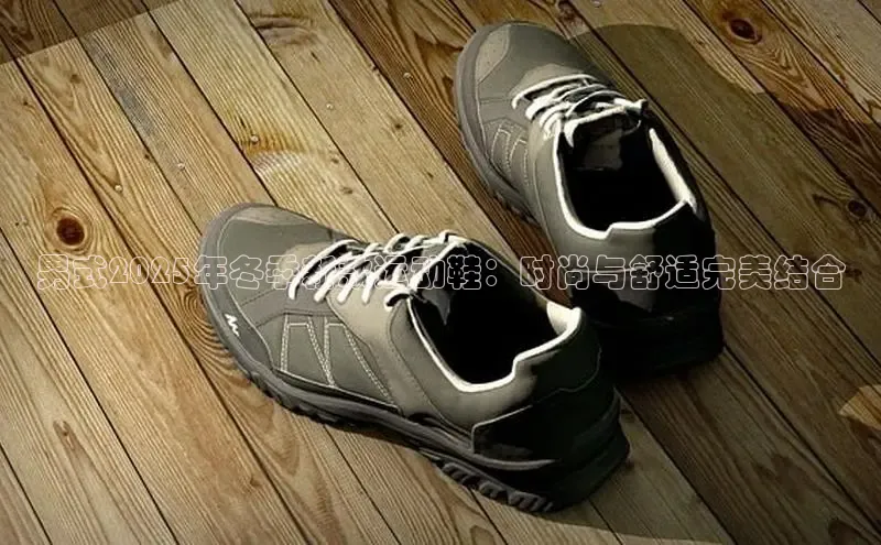 男式2025年冬季新款运动鞋：时尚与舒适完美结合