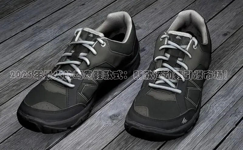 2025年最火的鸳鸯鞋款式：新款运动鞋引爆市场！