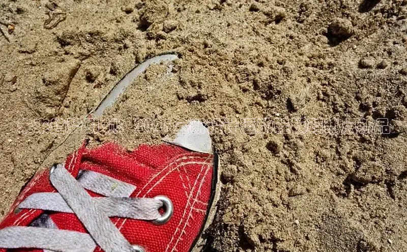 8868体育网站入口手机版